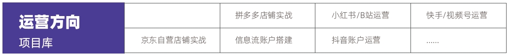 達(dá)內(nèi)教育主要課程包括哪些？運(yùn)營(yíng)項(xiàng)目庫(kù)